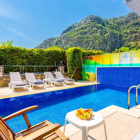 Villa Ayla Paradise *