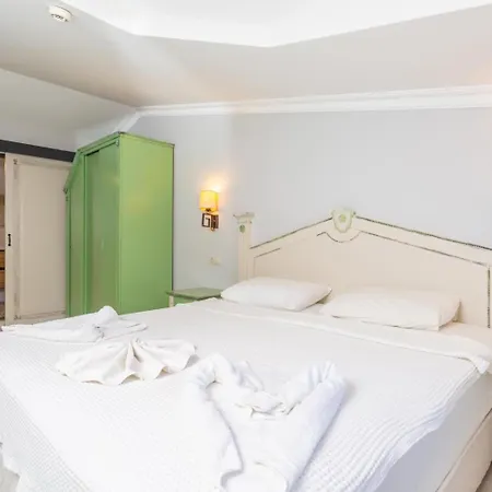 Ayla Paradise فيلة *