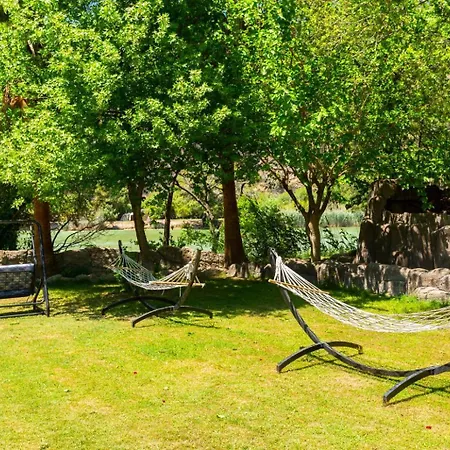 Ayla Paradise * داليان