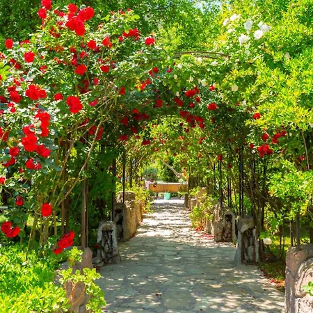 Ayla Paradise Vilă