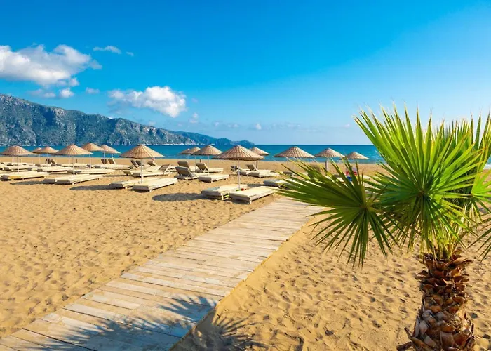 Ayla Paradise Vilă