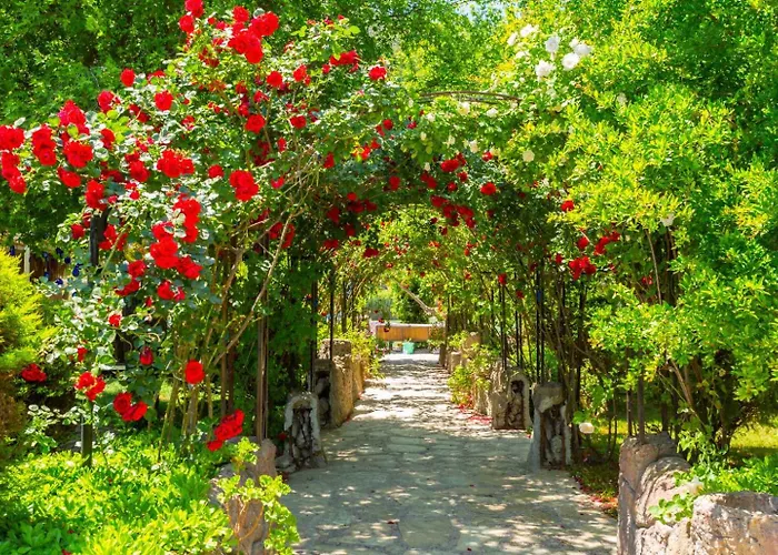 Ayla Paradise Vilă